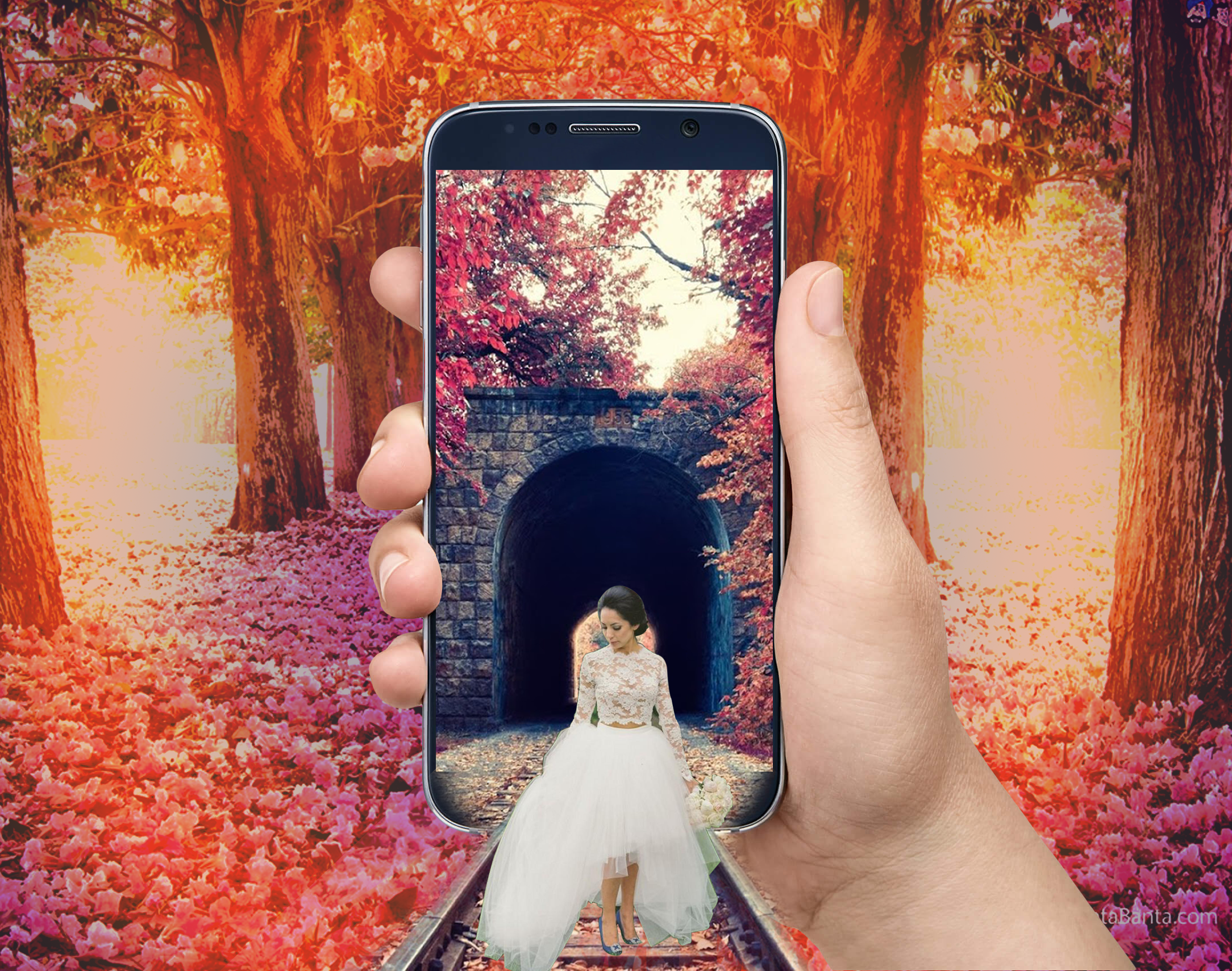 Photo manipulation 